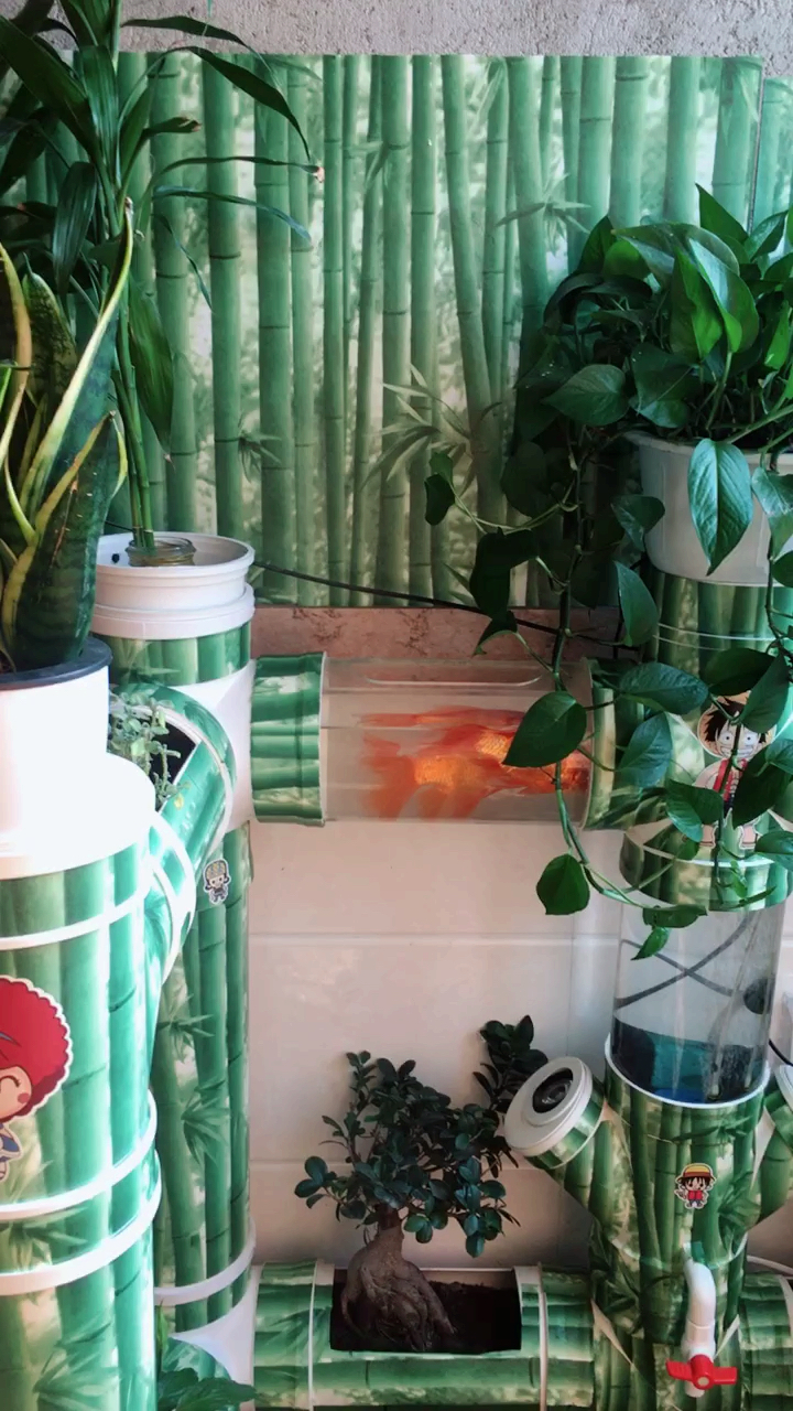 两宝去夏令营了,大叔怕我在家无聊,亲自给我做了鱼缸,让我养鱼种花!