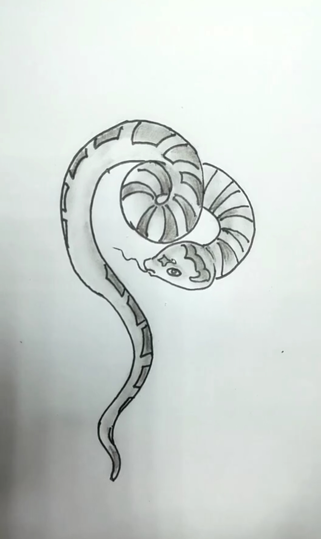 寻找最牛手艺人#教你这样简单线条画蛇-度小视