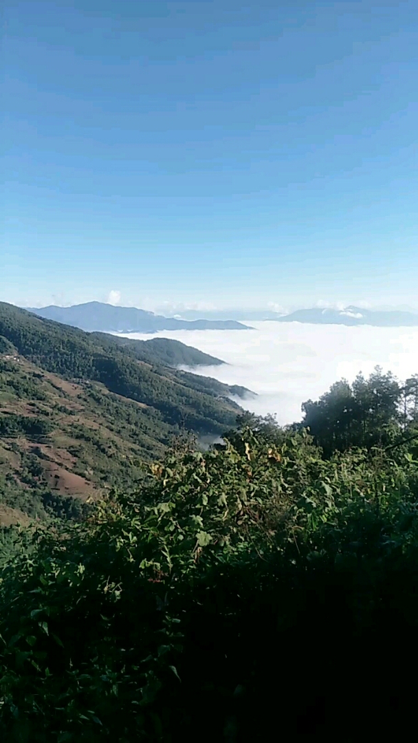 七彩云南--普洱墨江