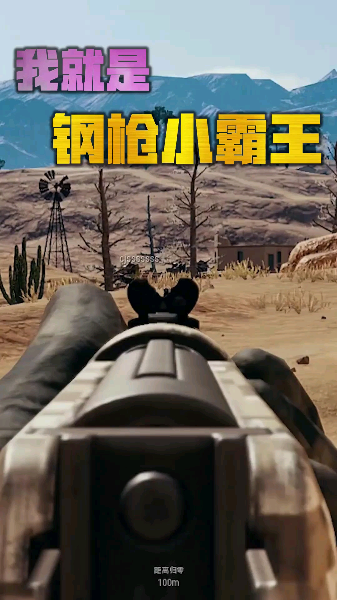 天秀不如你秀#你认识钢枪小霸王嘛?