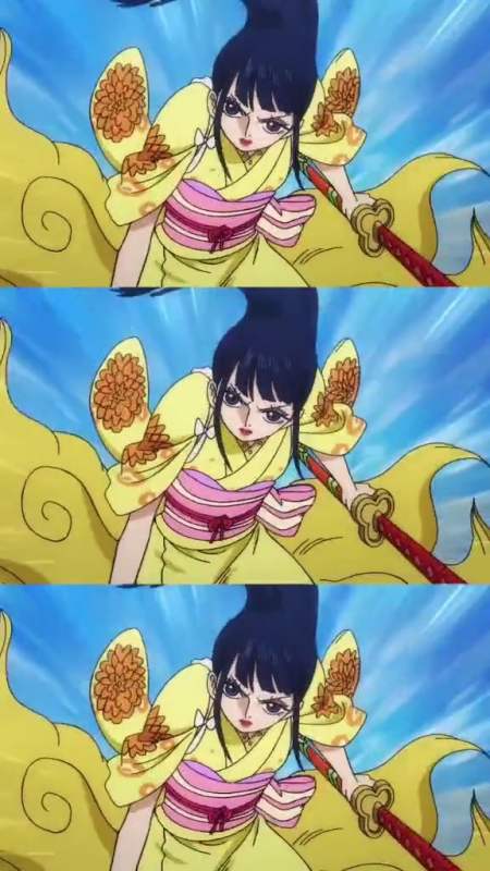 海贼王#小菊长得挺好看的,怎么有点像罗宾,索大看得眼睛都直了,看来