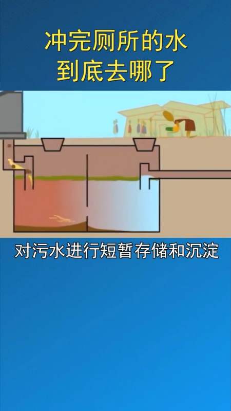 节约水资源#冲完厕所的水和生活污水,最后到底去哪了-度小视