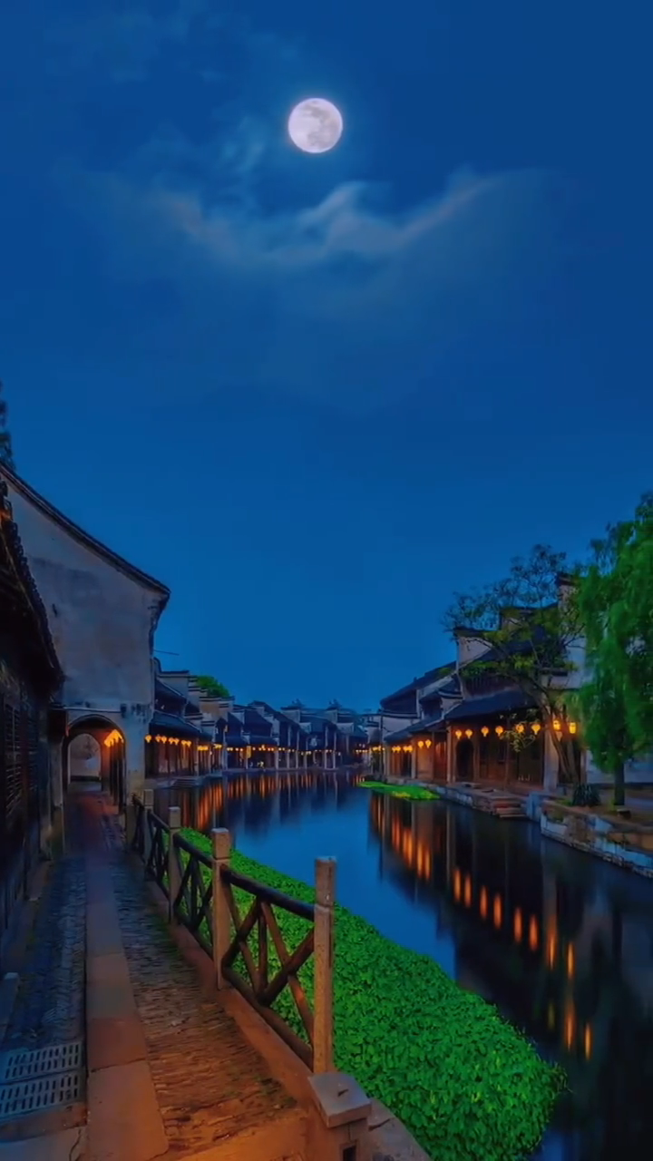 你在月光下见过什么样的景色