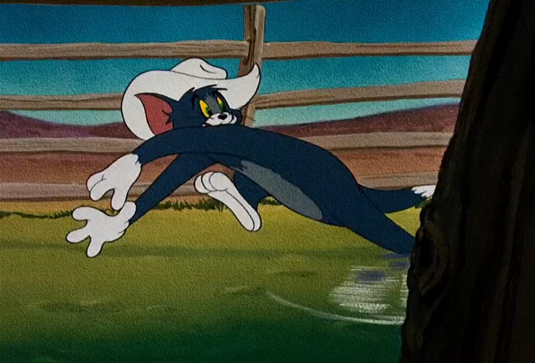 猫和老鼠#"集从容帅气智慧 奢华于一身的汤姆"