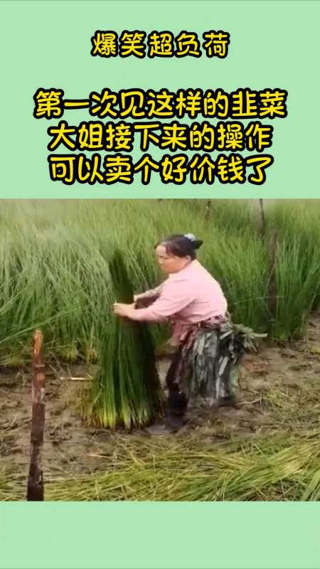 搞笑段子剧#第一次见这样的韭菜,大姐接下来的操作,可以卖个好价钱了