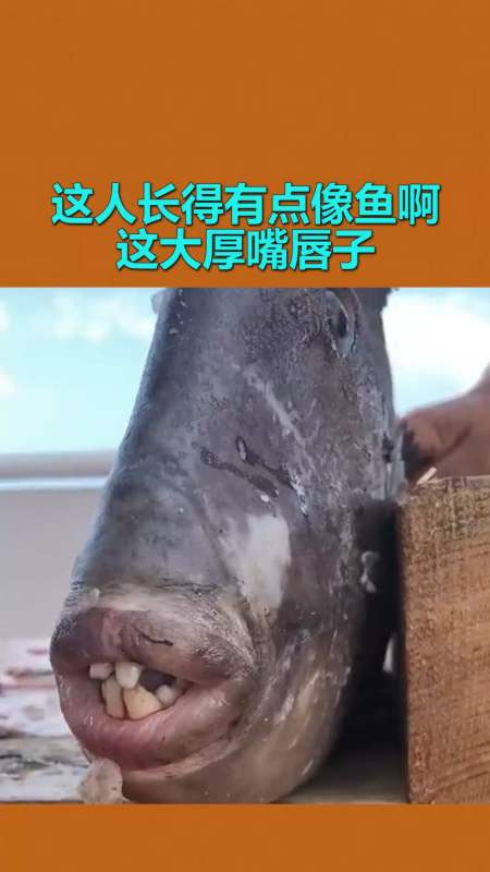 我要上熱門#這人長得有點像魚啊,這大厚嘴唇子