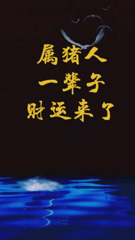 属猪人一辈子一次财运来了快接福