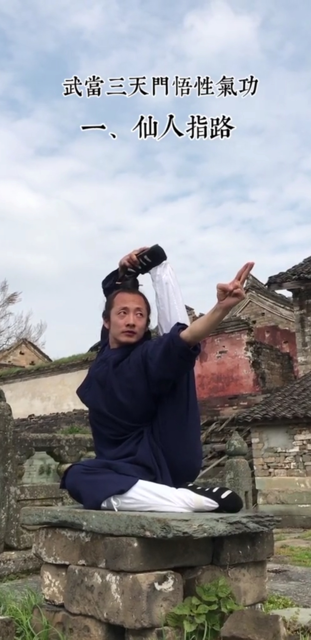 中华功夫武当柔术仙人指路