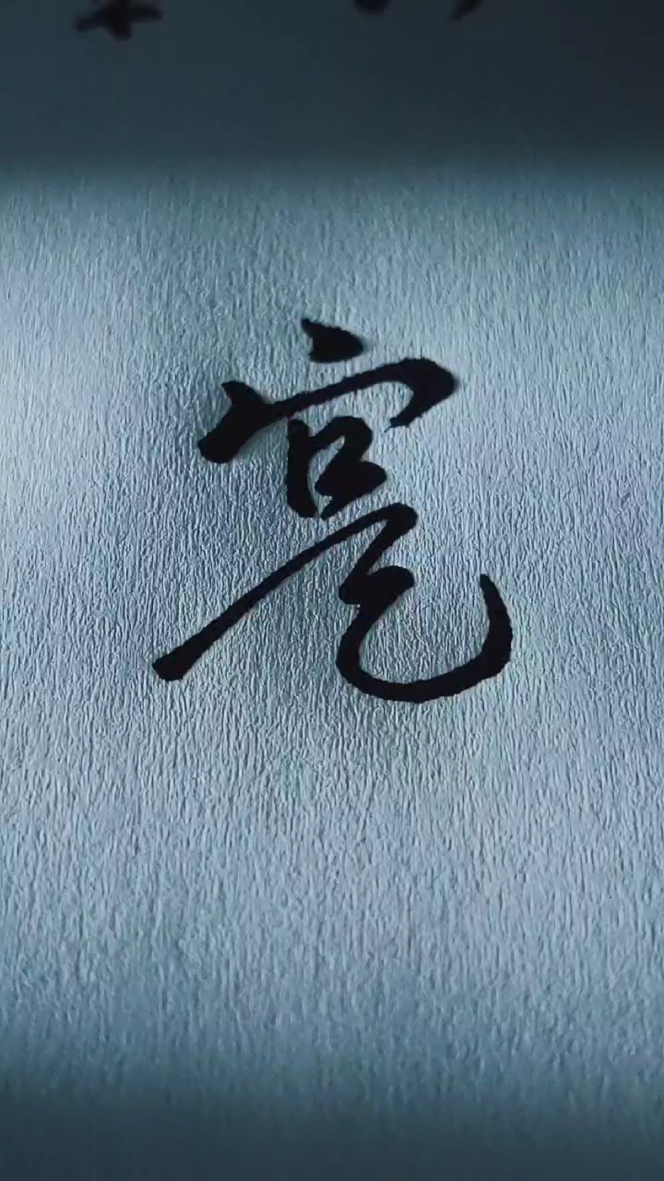 草书,寔,寞,寓,寘.