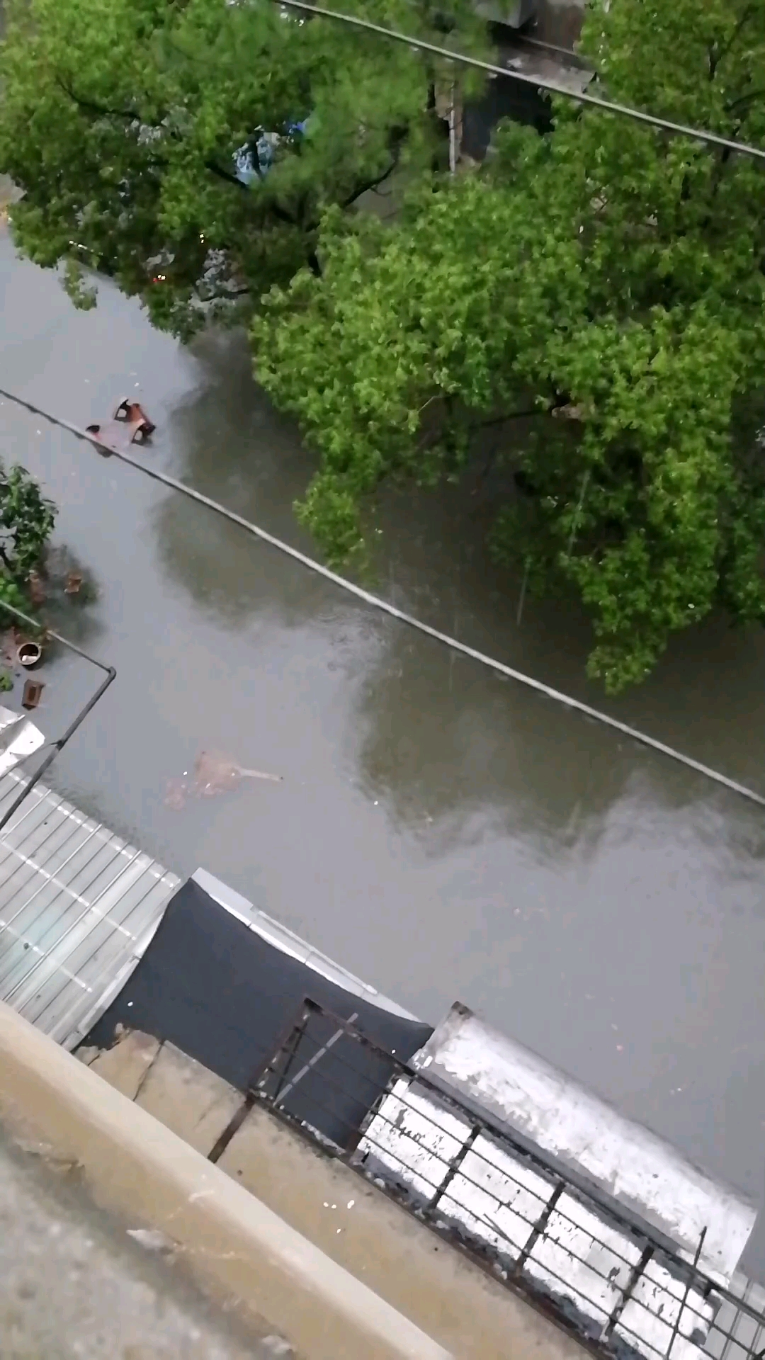 昨晚暴雨,小区淹水,幸好学校通知停课.