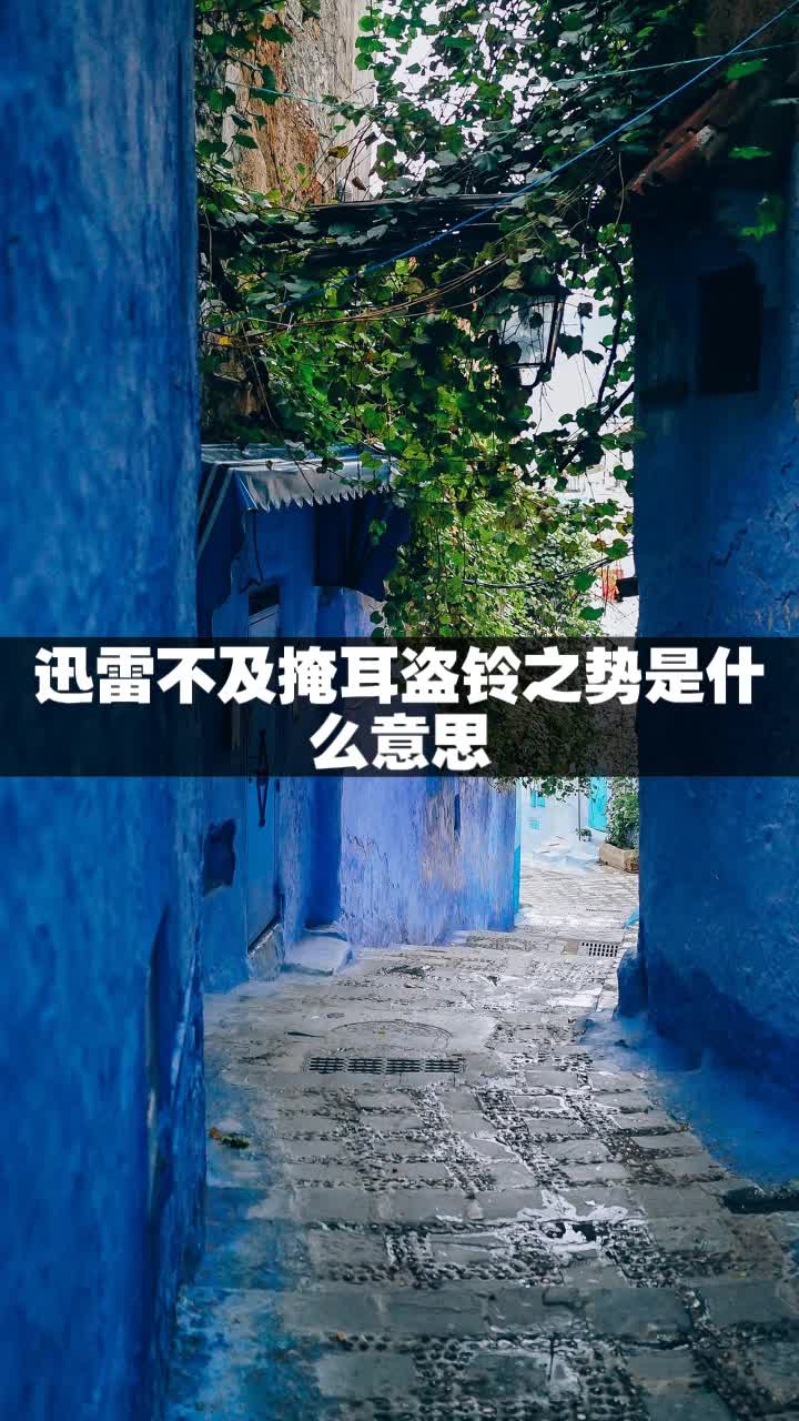 迅雷不及掩耳盗铃之势是什么意思
