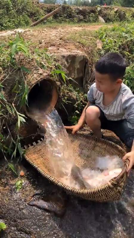 搞笑段子剧#农村孩子都那么会捉鱼吗,整天吃鱼应该很爽吧,好羡慕!