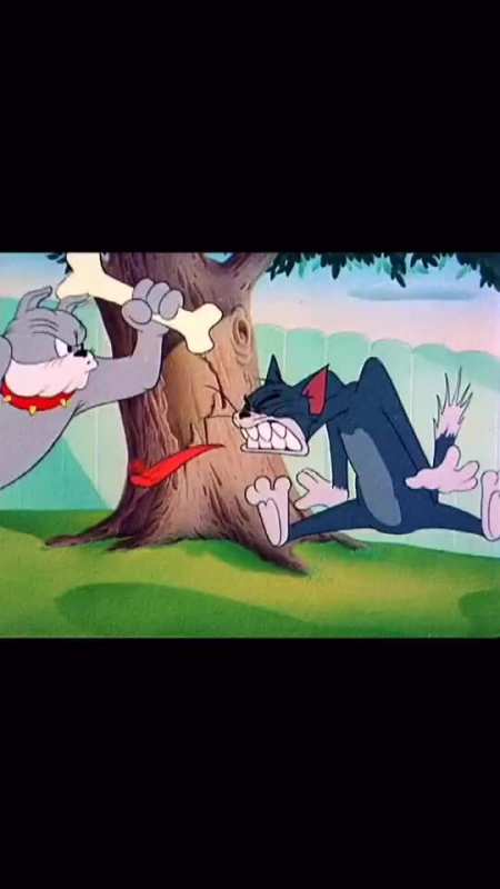 汤姆是个大暖男#"汤姆吐舌头挑衅合集"