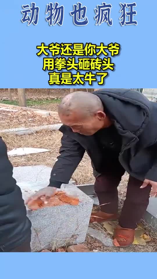 我要上热门大爷还是你大爷,用拳头砸砖头就像锤子在砸,真是太牛了