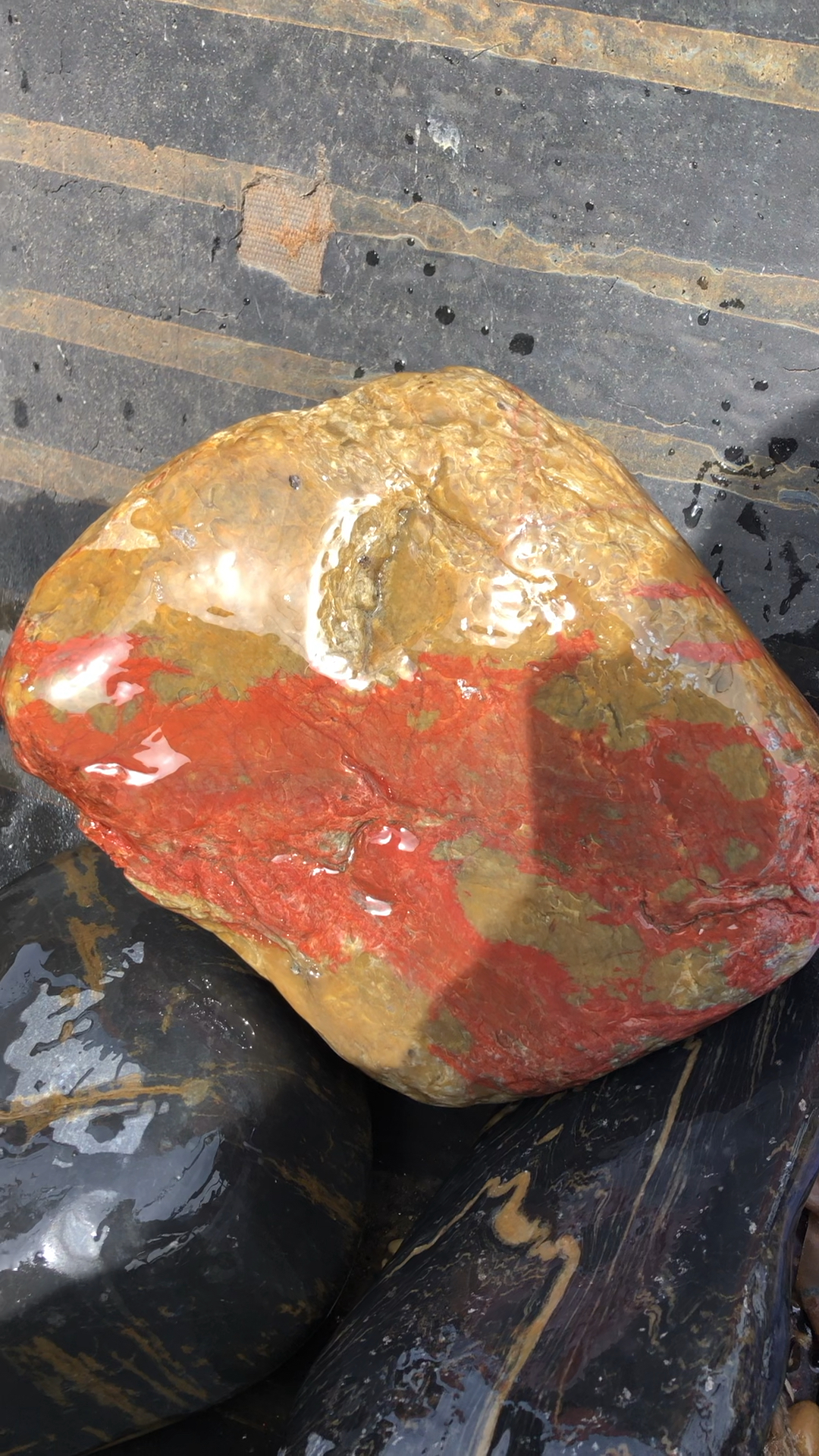 彩蜡石,可以打手镯,雕刻,非常难得