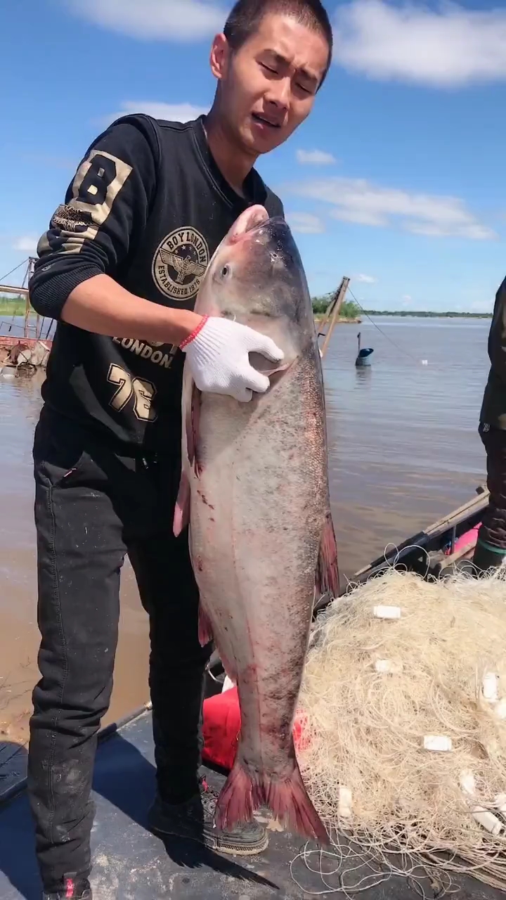 尼龙网专捕大鱼