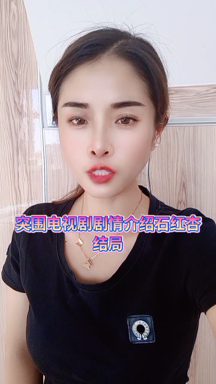 突围电视剧剧情介绍石红杏结局