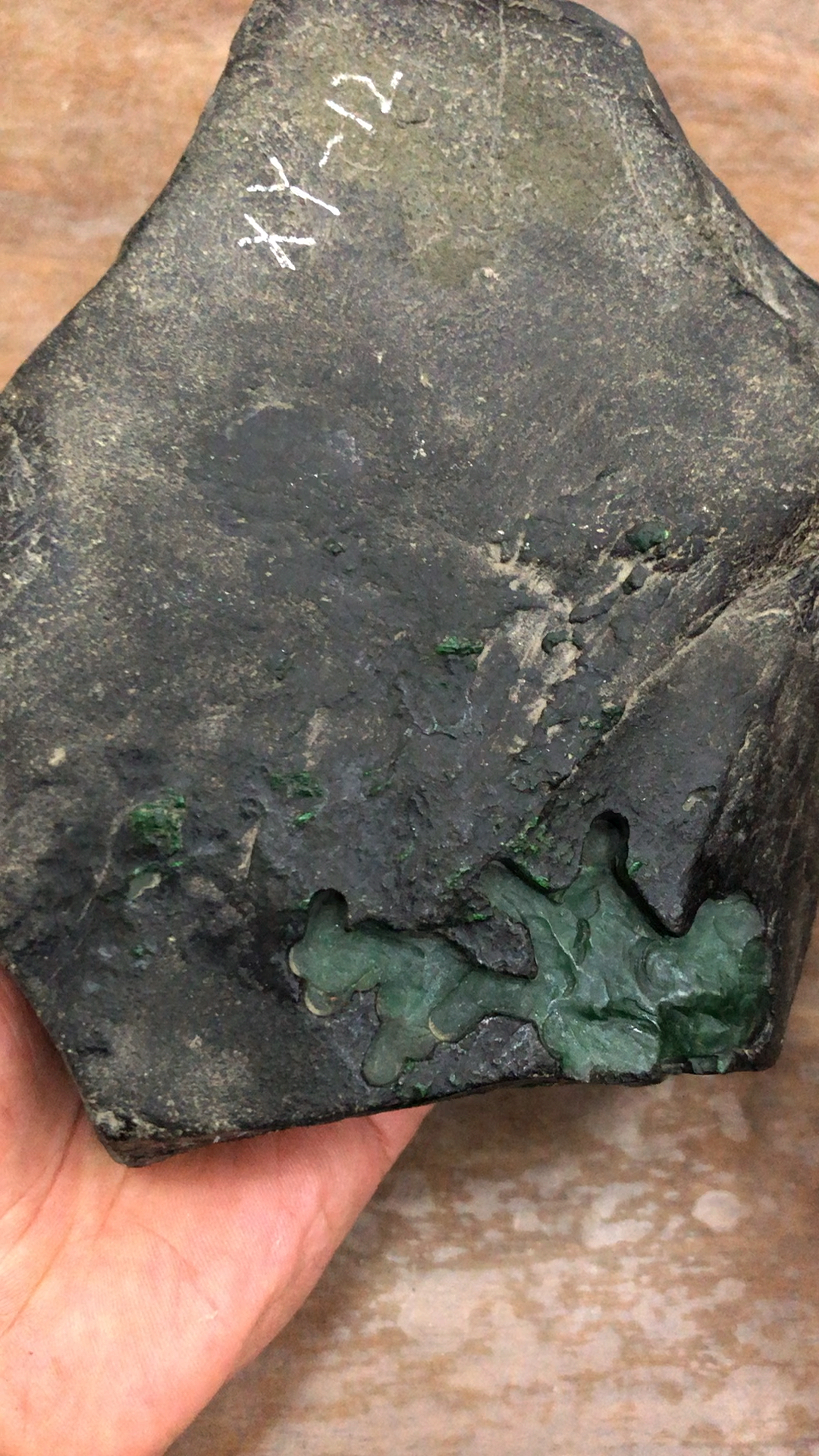 好物推荐#莫弯基色料一枚