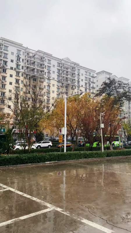 北方下雪南方下雨这里只好下雪加雨了东北请全看暴雪河北燕郊请大家看