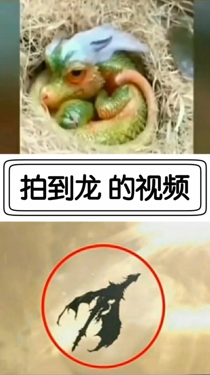 奇闻趣事抢先看#拍到龙的视频?-度小视
