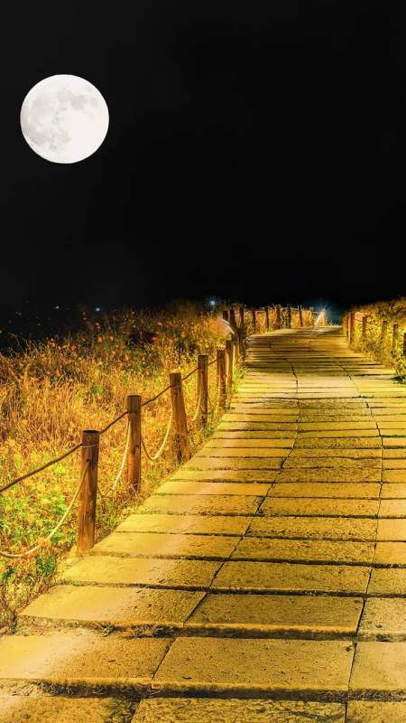 月是故乡圆,情是故乡浓,故乡的一切,都在这一轮明月中-全民小视频