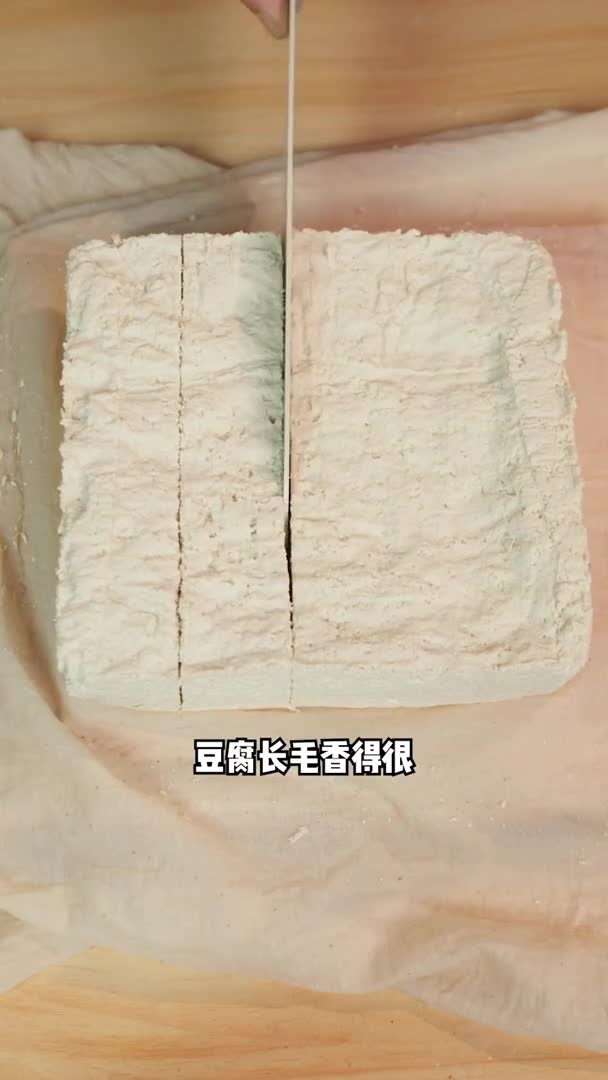 实拍豆腐长毛全程!拍了三天,只为等你这一眼