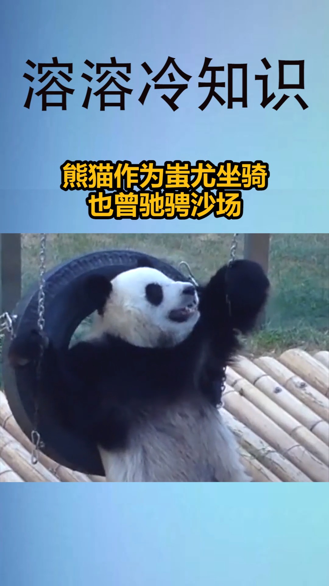 我要上热门#熊猫作为蚩尤坐骑,也曾吵骋沙场