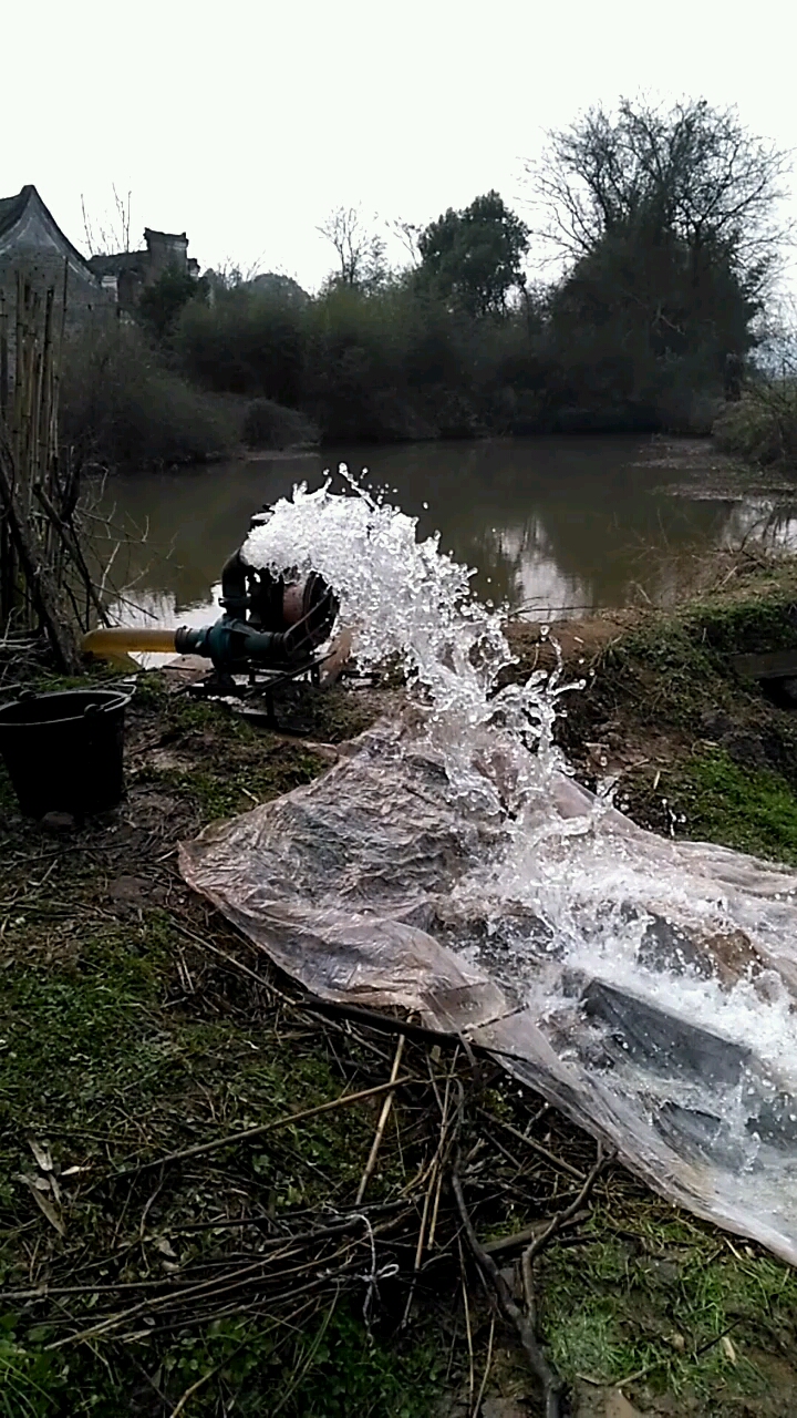 小时候的味道来了,过年干鱼塘