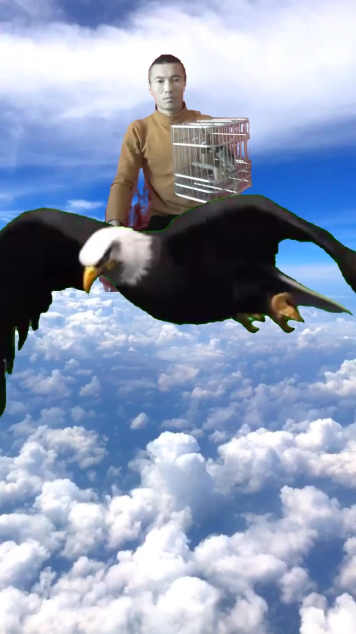 骑着老鹰出去转转