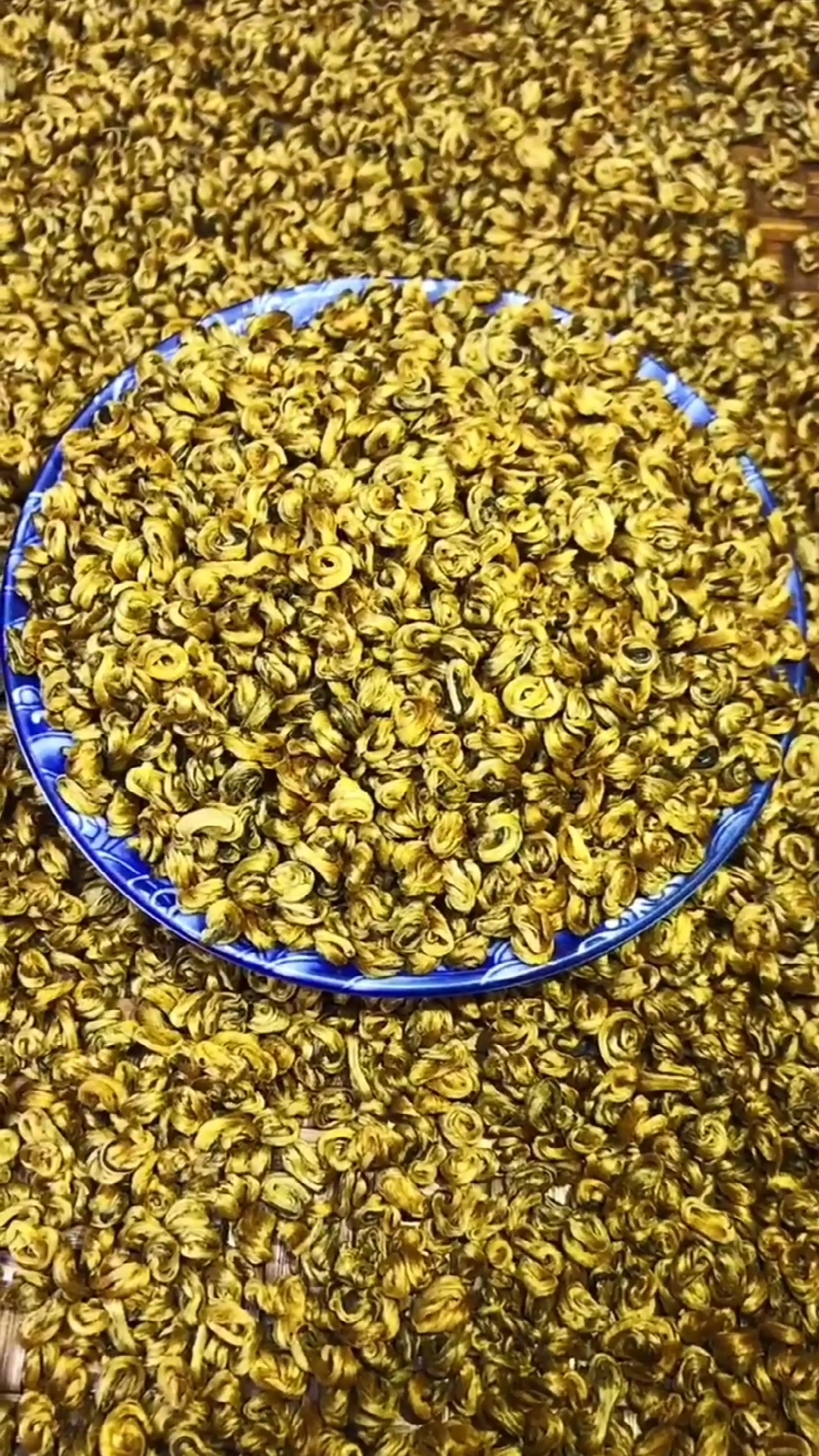 茶与养生#滇红金丝螺~茶知识