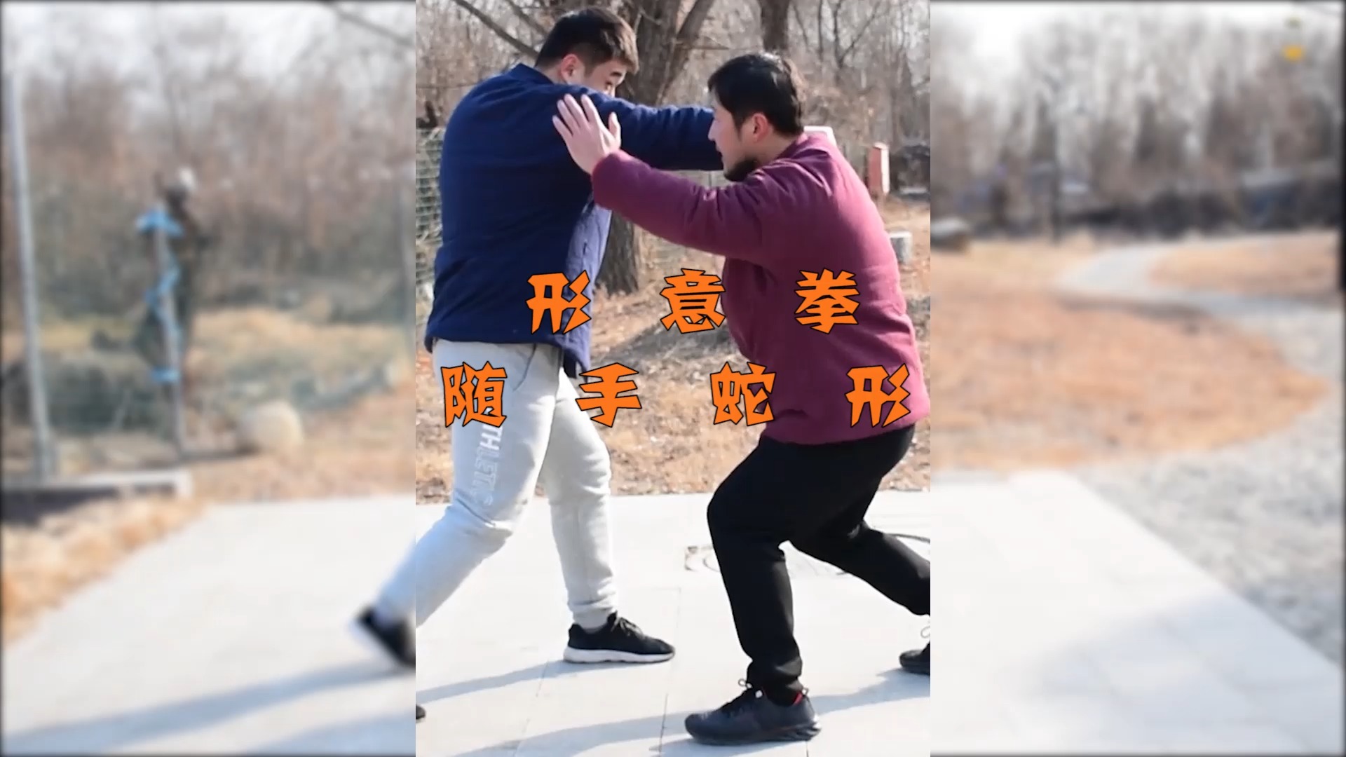 武术#《逝去的武林》讲形意拳蛇形,庞超:不避开中心线,叫蛇形吗?