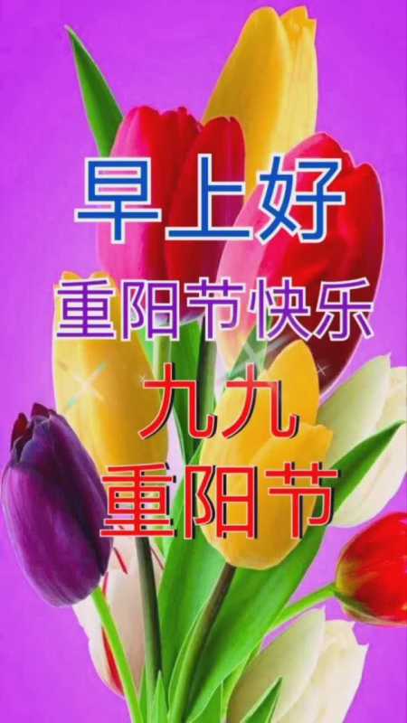 祝天下所有的老人幸福安康节日快乐-全民小视频