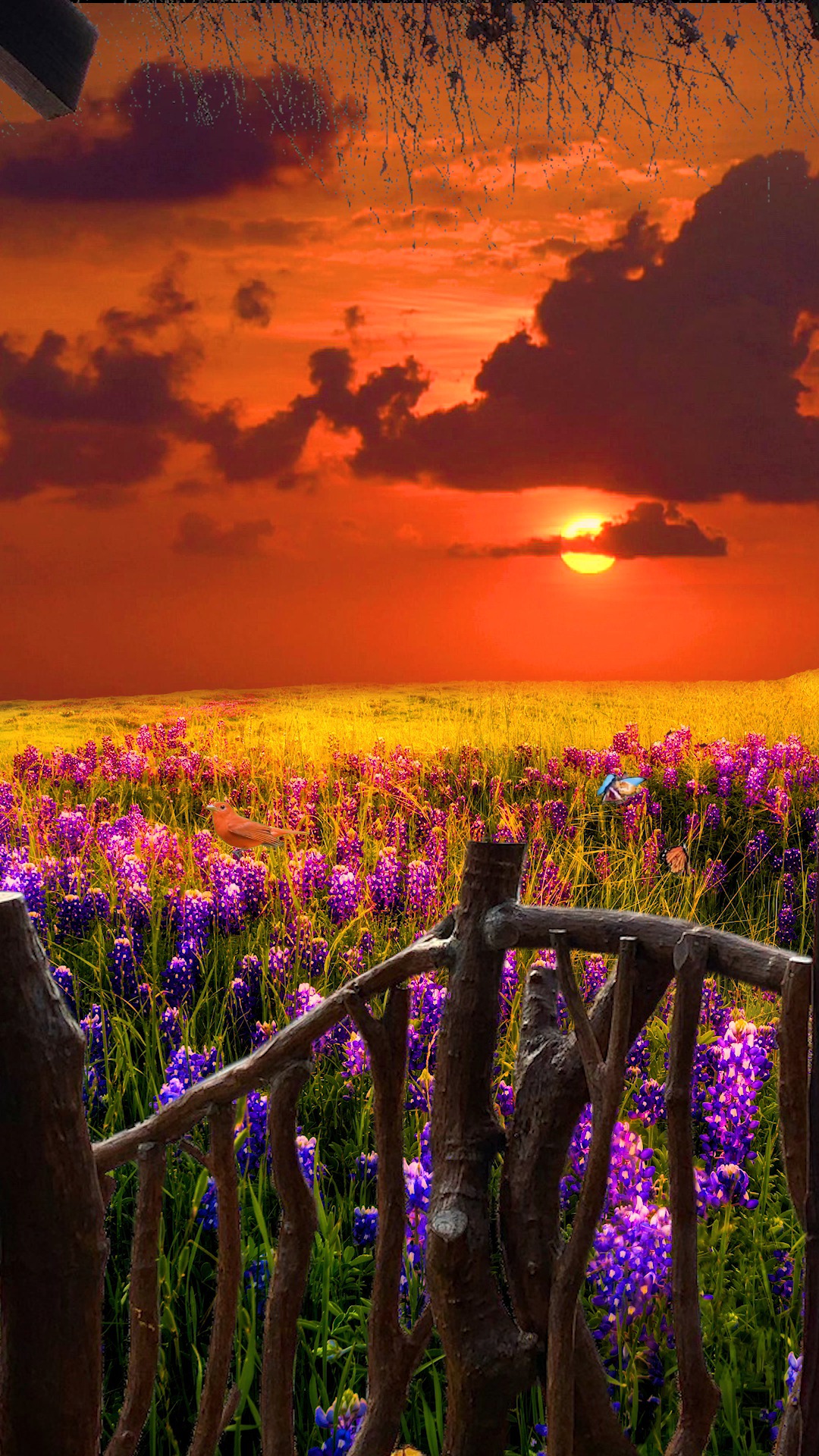 解压  #治愈  #风景