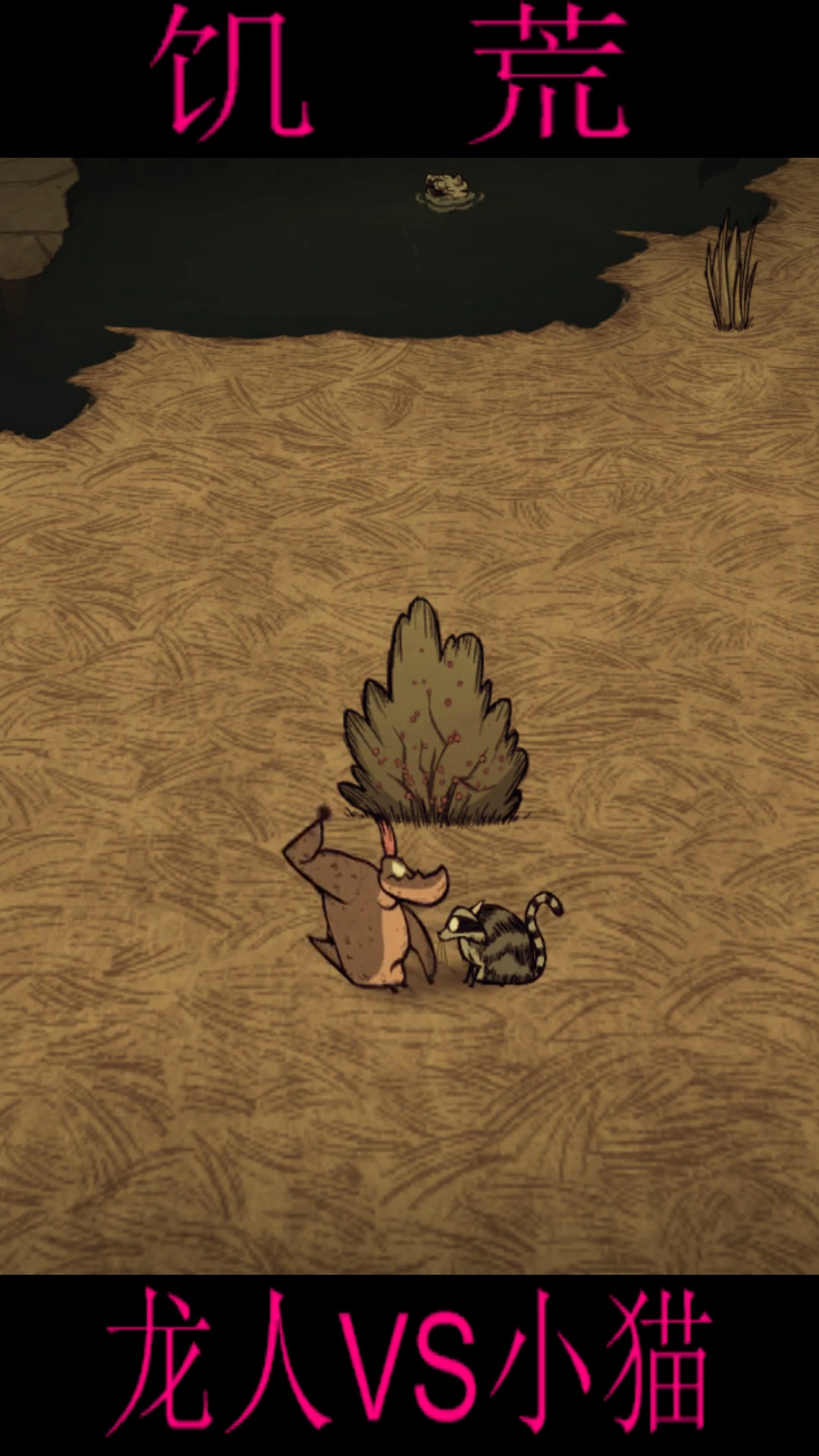 游戏#饥荒小龙人大战小猫,浣熊猫:看我挠他