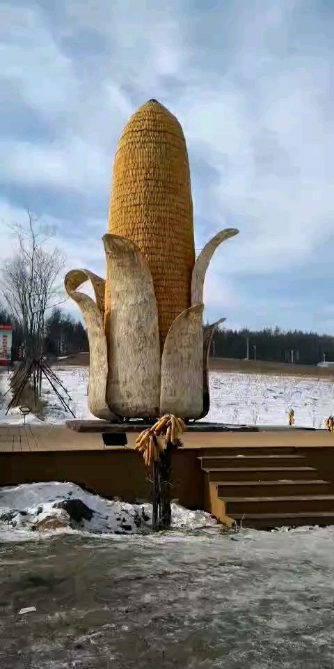 吉尼斯记录﹌最大玉米