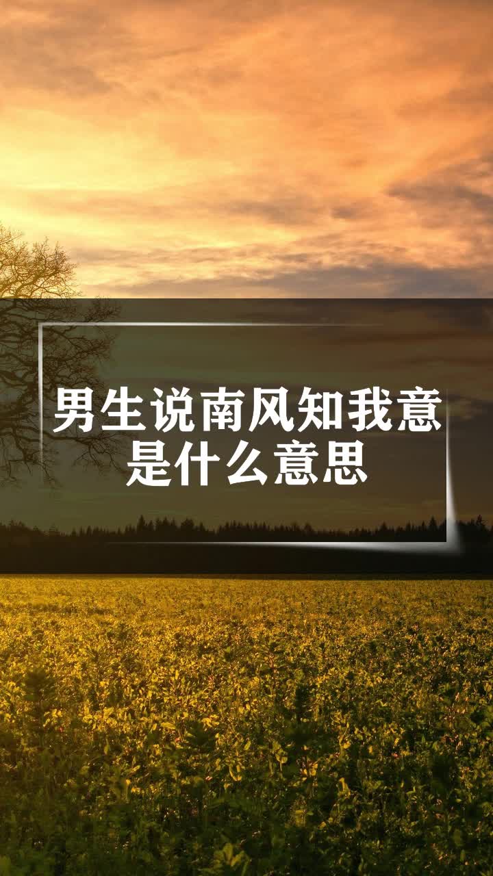 男生说南风知我意是什么意思