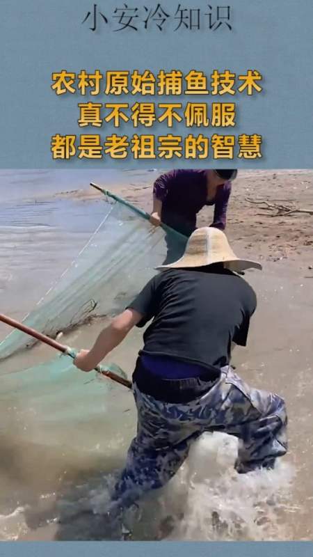 我要上热门#农村原始捕鱼技术,真不得不佩服,老祖宗的智慧-度小视