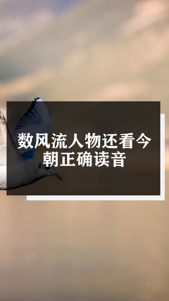 数风流人物还看今朝正确读音