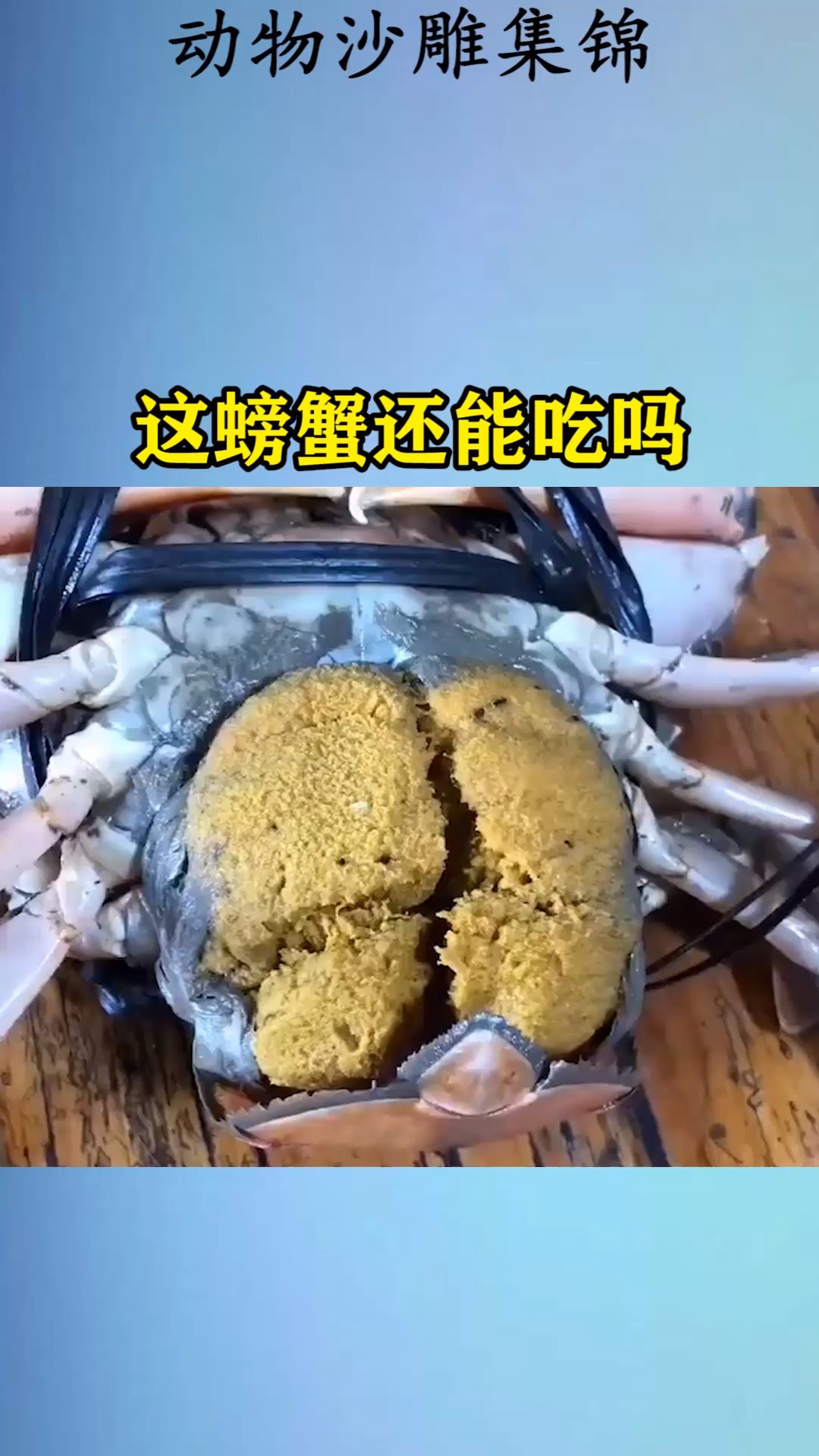 我要上热门#这螃蟹还能吃吗