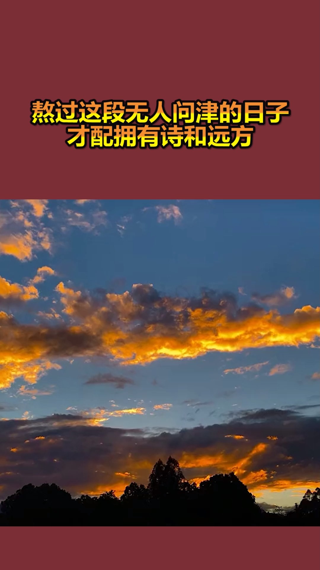 我要上热门熬过这段无人问津的日子才配拥有诗和远方