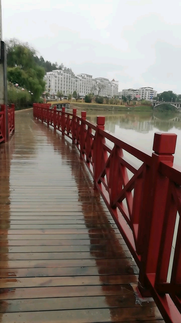 2019年1月10日晨,小雨的濉溪河