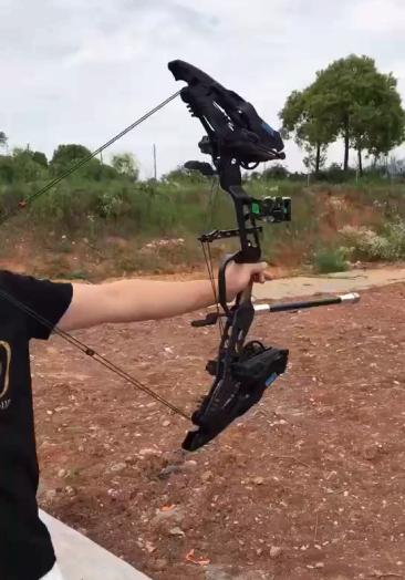 55猛禽复合弓12找192930456q