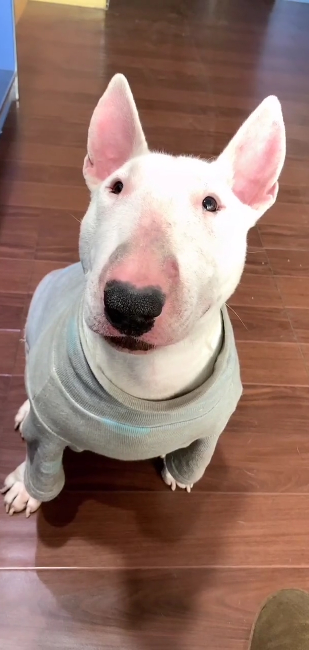 音为有你#明星脸,你说像谁?