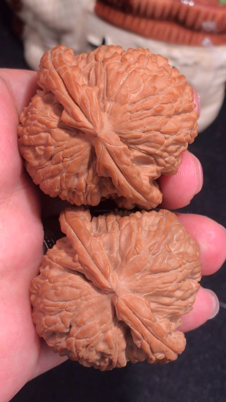 文玩核桃,粗筋大肚闷尖白