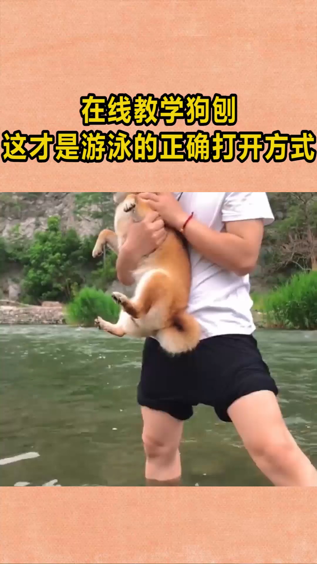 在线教学狗刨这才是游泳的正确打开方式