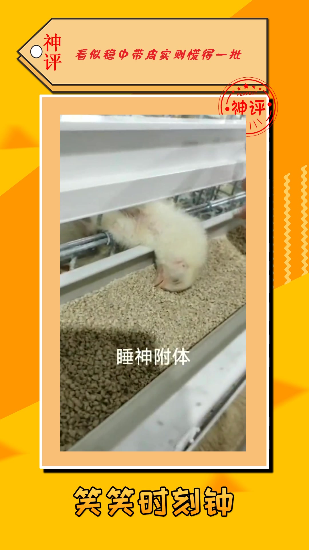 我要上热门#这是睡神附体了,昨晚被人都在睡觉,你去哪蹦迪去了