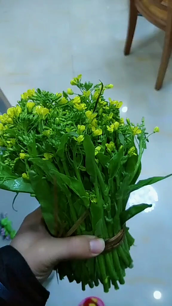 今天你秀恩爱了吗#把菜花当玫瑰花用,不介意吧