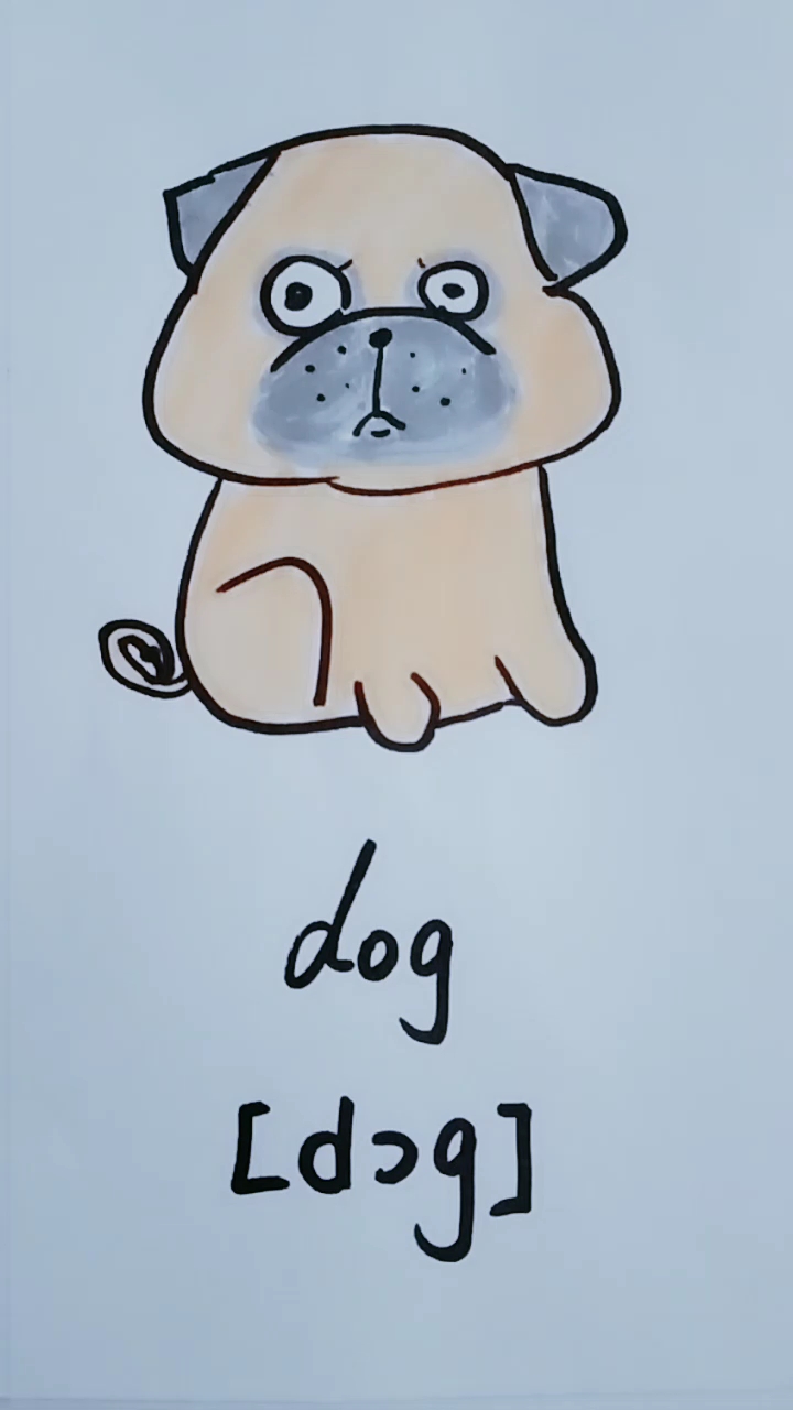 方言诗朗诵#跟我拼读英文单词 dog 狗 宝宝爱学习