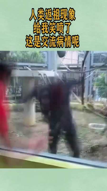 搞笑人类返祖现象,这是在交流病情了,到底是谁逗谁呢