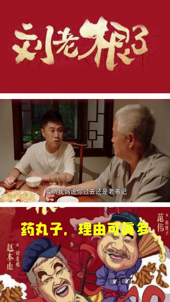 刘老根3,药丸子,理由可真多-度小视